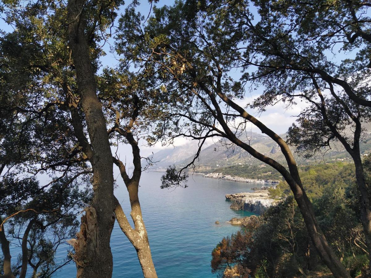Judia Sul Mare Bed & Breakfast Maratea