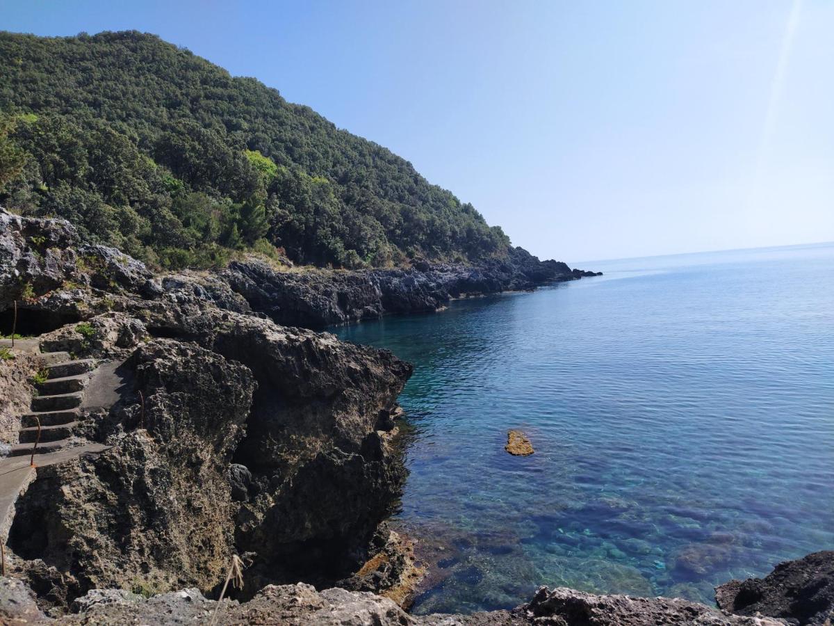 Judia Sul Mare * Maratea